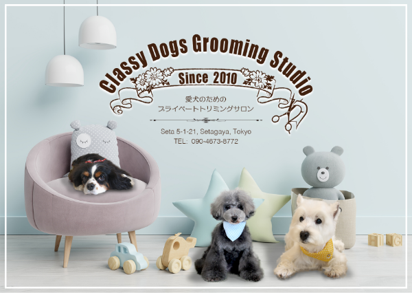 image of Classy Dogs Ad