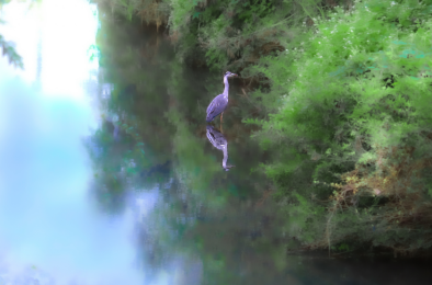 Image21 image of graphic design