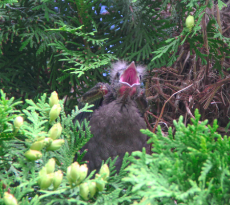 Image13 image of graphic design