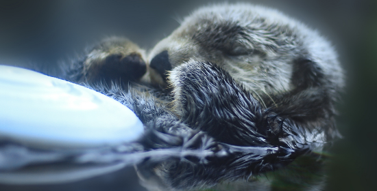 Image14 image of graphic design