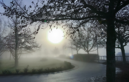 Image15 image of graphic design