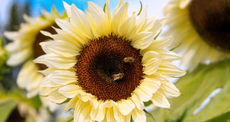 Image16 image of graphic design