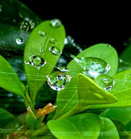 Image17 image of graphic design