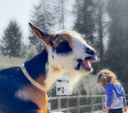 Image18 image of graphic design